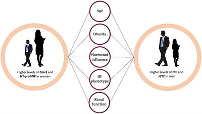 Gender-Related Differences in Heart Failure Biomarkers